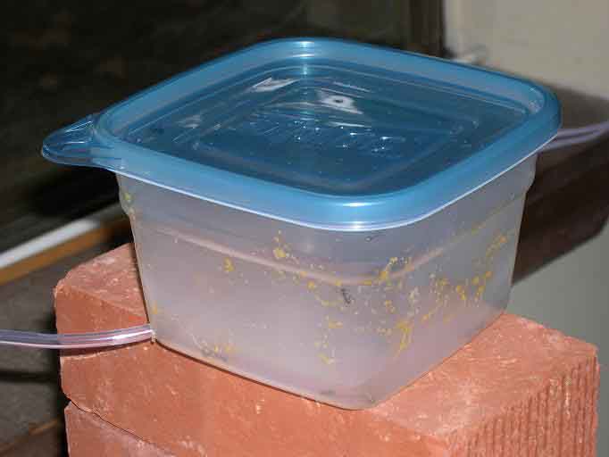 insertion/feeding chamber