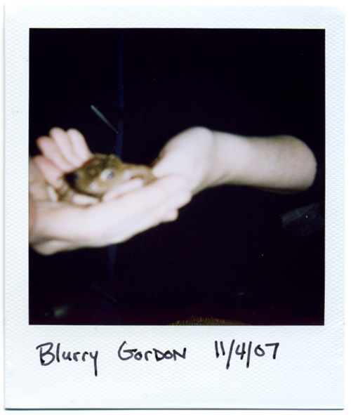 Blurry Gordon
